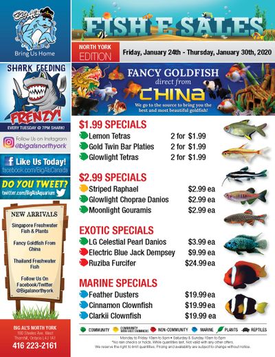 Big Al's (North York) Weekly Specials January 24 to 30