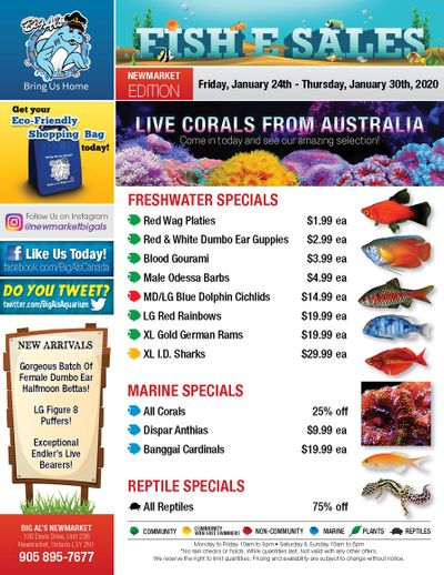 Big Al's (Newmarket) Weekly Specials January 24 to 30