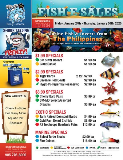 Big Al's (Mississauga) Weekly Specials January 24 to 30