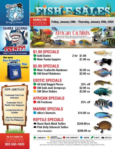 Big Al's (Hamilton) Weekly Specials January 24 to 30