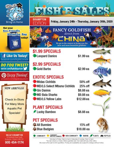 Big Al's (Brampton) Weekly Specials January 24 to 30