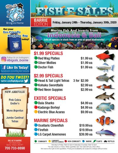 Big Al's (Barrie) Weekly Specials January 24 to 30