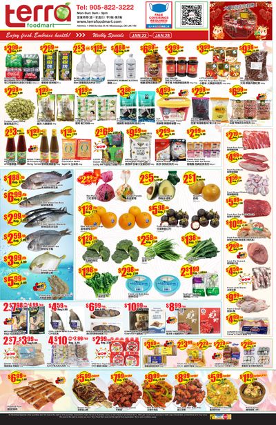 Terra Foodmart Flyer January 22 to 28