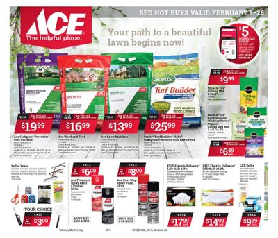 ACE Hardware Weekly Ad Flyer February 1 to February 28