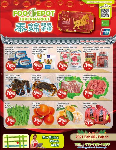 Food Depot Supermarket Flyer February 5 to 11