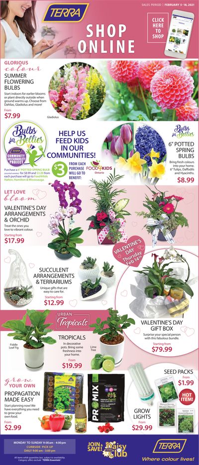 Terra Greenhouses Flyer February 5 to 18