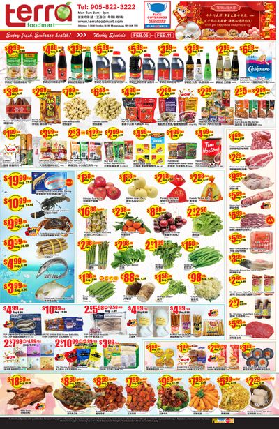 Terra Foodmart Flyer February 5 to 11