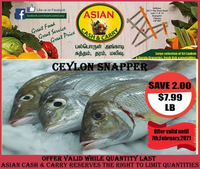 Asian Cash & Carry Flyer February 5 to 11