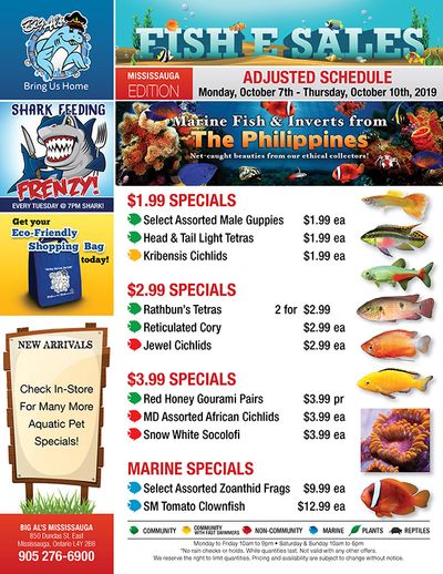 Big Al's (Mississauga) Weekly Specials October 7 to 10