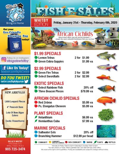 Big Al's (Whitby) Weekly Specials January 31 to February 6 Big Al's (Whitby) Weekly Specials January 31 to February 6