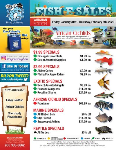 Big Al's (Vaughan) Weekly Specials January 31 to February 6