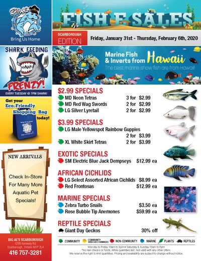 Big Al's (Scarborough) Weekly Specials January 31 to February 6