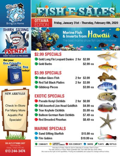 Big Al's (Ottawa East) Weekly Specials January 31 to February 6