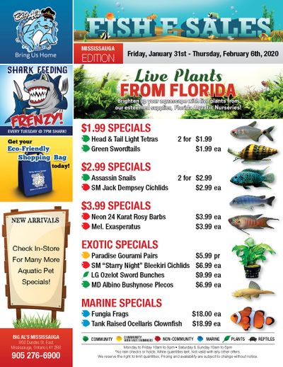 Big Al's (Mississauga) Weekly Specials January 31 to February 6
