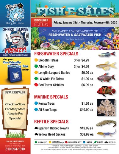 Big Al's (Kitchener) Weekly Specials January 31 to February 6
