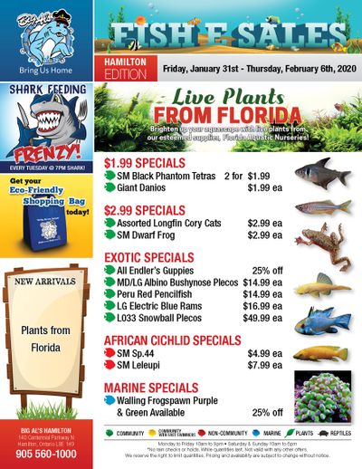 Big Al's (Hamilton) Weekly Specials January 31 to February 6
