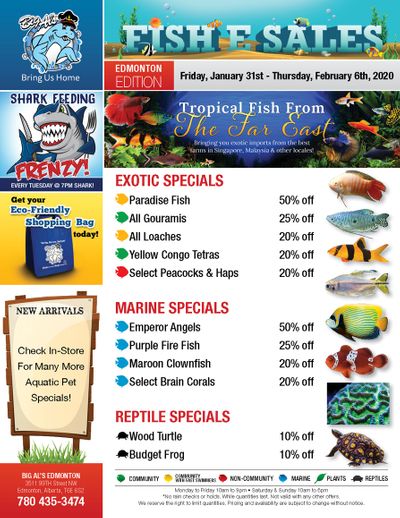 Big Al's (Edmonton) Weekly Specials January 31 to February 6