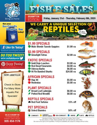 Big Al's (Brampton) Weekly Specials January 31 to February 6