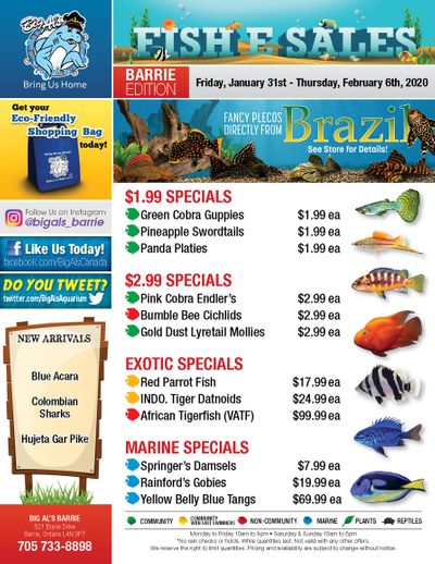 Big Al's (Barrie) Weekly Specials January 31 to February 6