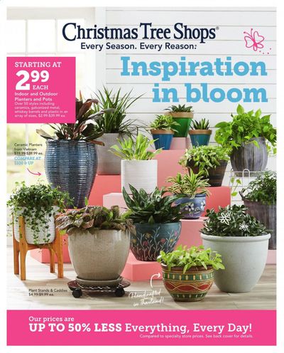 Christmas Tree Shops Weekly Ad Flyer February 11 to February 21