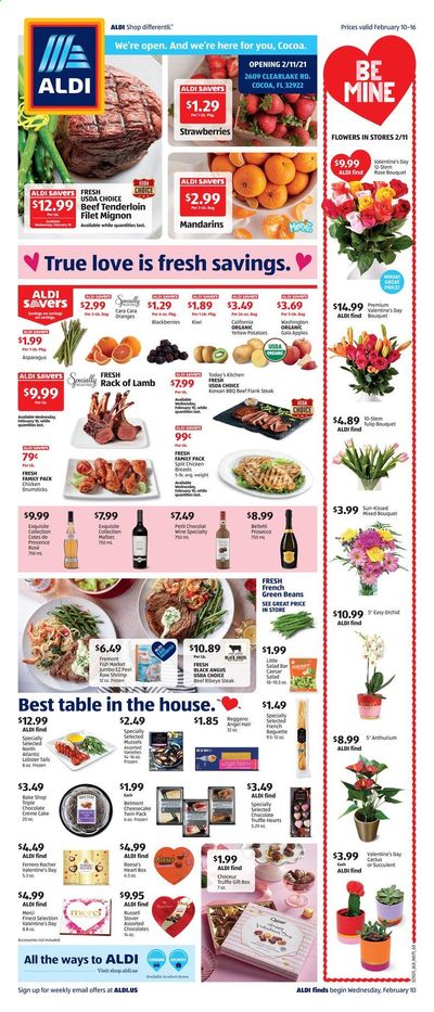 ALDI (FL) Weekly Ad Flyer February 10 to February 16