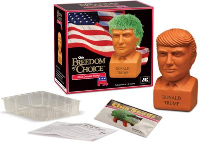 Chia Donald Trump Freedom of Choice Pottery Planter on Sale for $ 20.35 at Amazon Canada