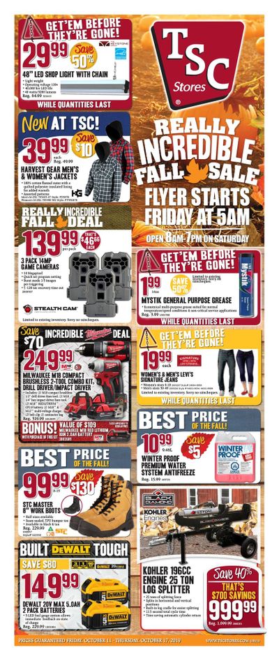 TSC Stores Flyer October 11 to 17