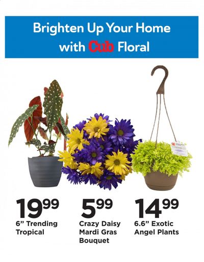 Cub Foods Weekly Ad Flyer February 16 to February 20