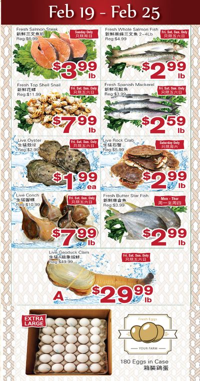 First Choice Supermarket Flyer February 19 to 25