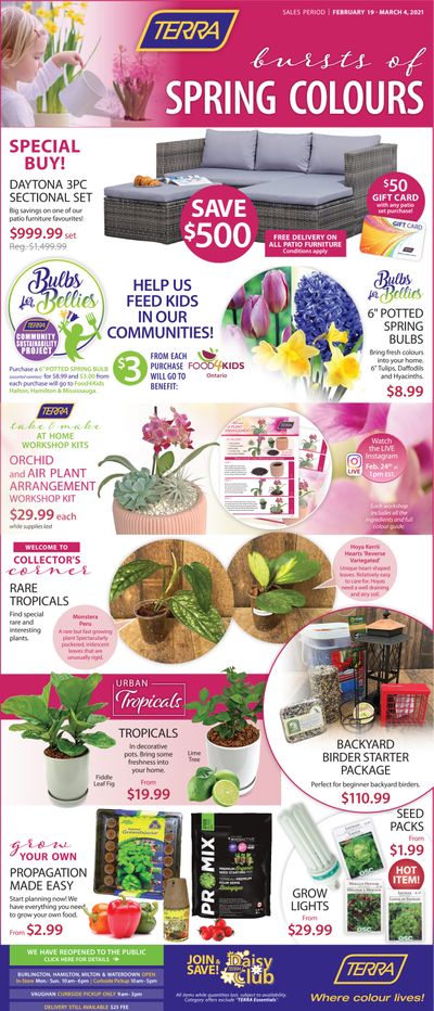 Terra Greenhouses Flyer February 19 to March 4