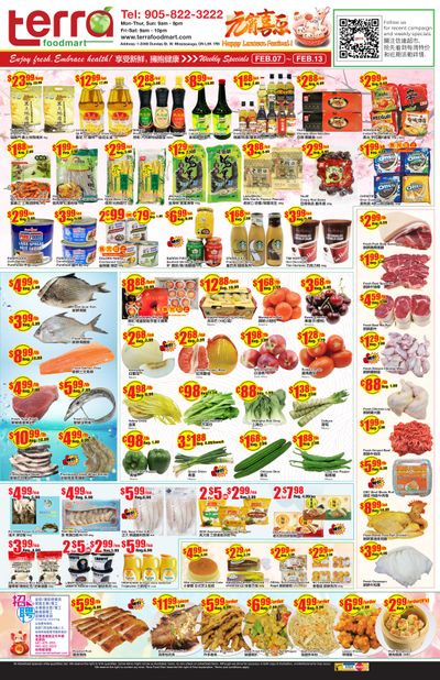 Terra Foodmart Flyer February 7 to 13