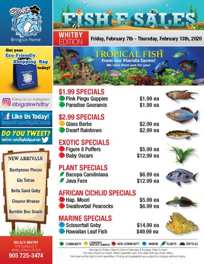 Big Al's (Whitby) Weekly Specials February 7 to 13