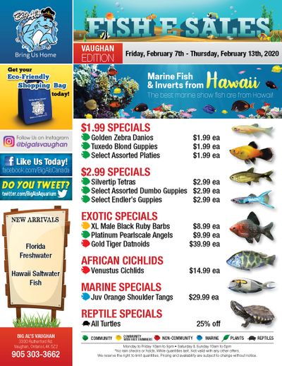 Big Al's (Vaughan) Weekly Specials February 7 to 13