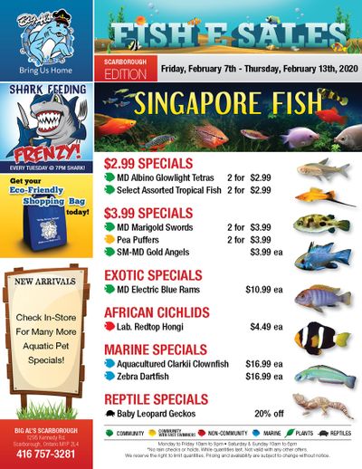 Big Al's (Scarborough) Weekly Specials February 7 to 13 Big Al's (Scarborough) Weekly Specials February 7 to 13