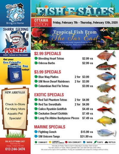 Big Al's (Ottawa East) Weekly Specials February 7 to 13
