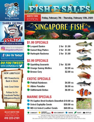 Big Al's (North York) Weekly Specials February 7 to 13