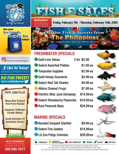 Big Al's (Newmarket) Weekly Specials February 7 to 13