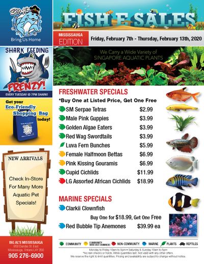 Big Al's (Mississauga) Weekly Specials February 7 to 13