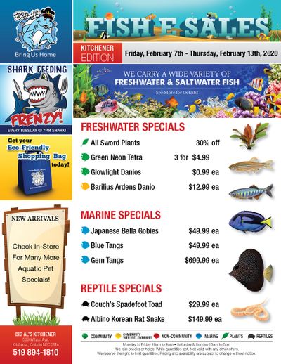 Big Al's (Kitchener) Weekly Specials February 7 to 13