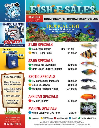 Big Al's (Hamilton) Weekly Specials February 7 to 13