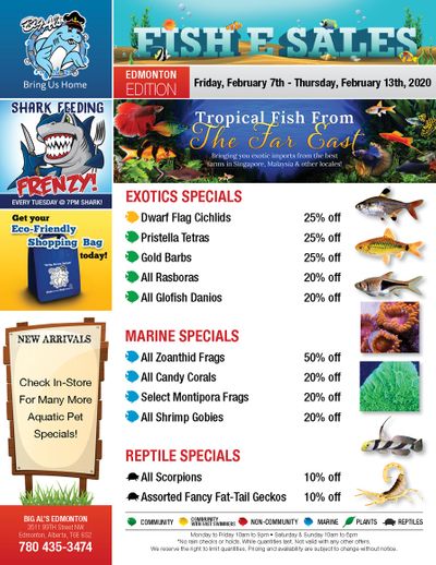 Big Al's (Edmonton) Weekly Specials February 7 to 13