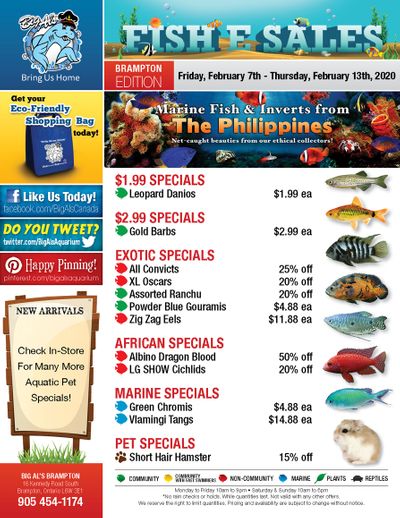 Big Al's (Brampton) Weekly Specials February 7 to 13