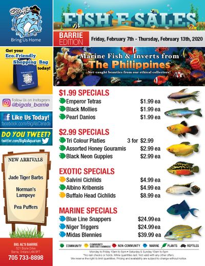 Big Al's (Barrie) Weekly Specials February 7 to 13