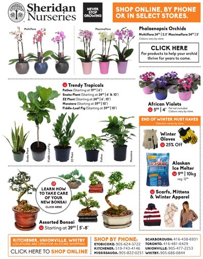 Sheridan Nurseries Flyer February 25 to March 17