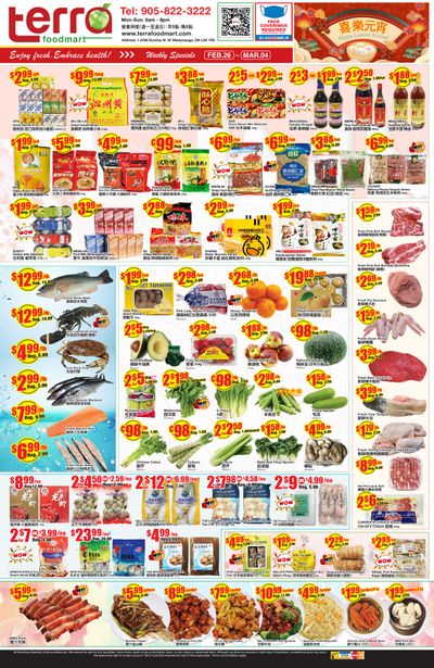 Terra Foodmart Flyer February 26 to March 4