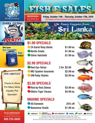 Big Al's (Mississauga) Weekly Specials October 11 to 17