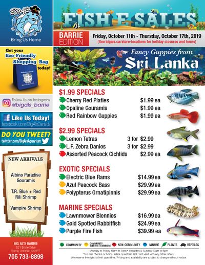 Big Al's (Barrie) Weekly Specials October 11 to 17