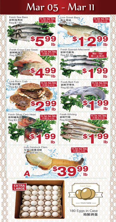 First Choice Supermarket Flyer March 5 to 11