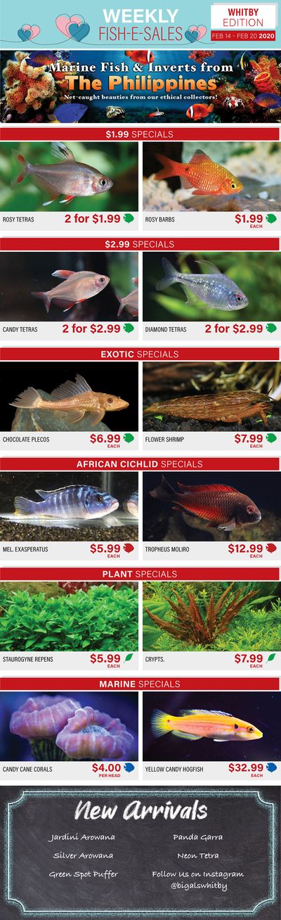 Big Al's (Whitby) Weekly Specials February 14 to 20