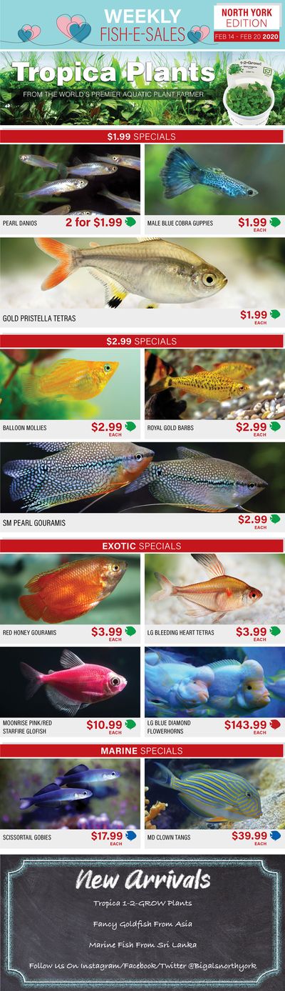 Big Al's (North York) Weekly Specials February 14 to 20 Big Al's (North York) Weekly Specials February 14 to 20